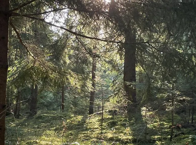 Ar I 4 Pers I Prime I Kueche I Wlan I Office *